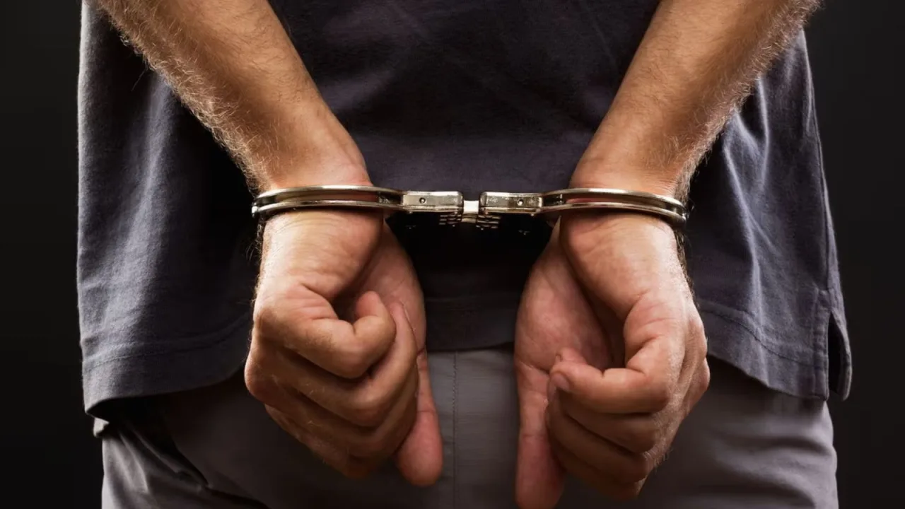 6 cattle smugglers held, they had tried to run over toll staff