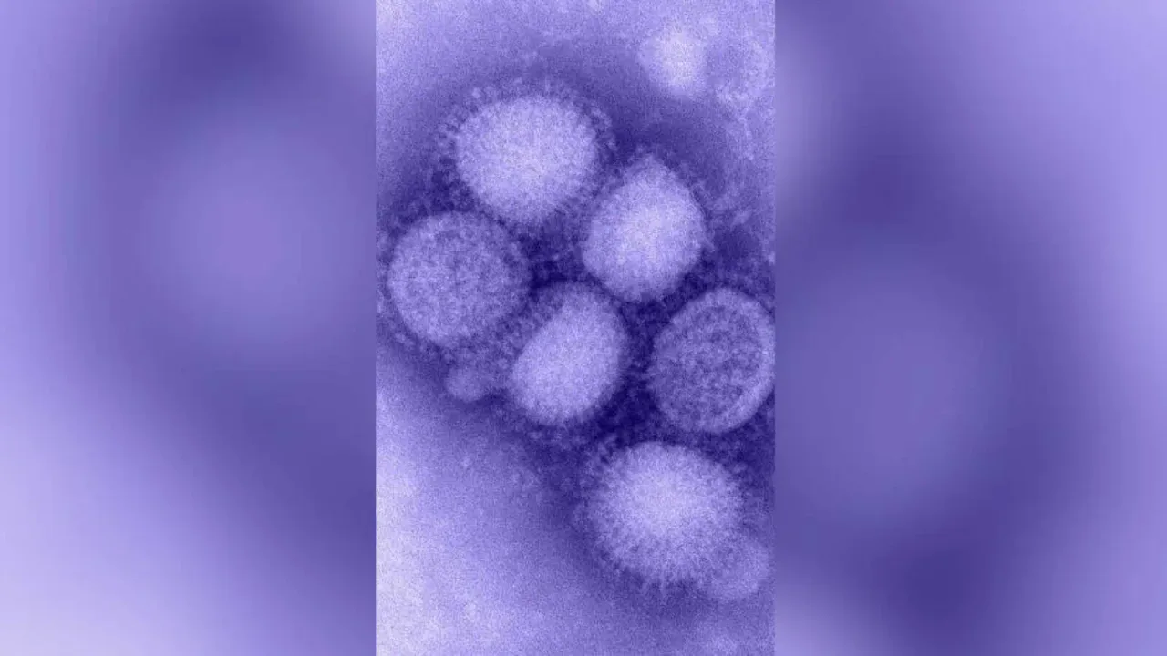 H1N1 cases rise in Hyderabad, doctors urge people to be cautious
