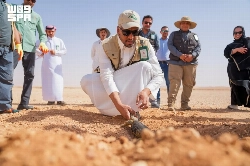 Over 140 spiny-tailed lizards released in King Khalid Royal Reserve 11 h ago
