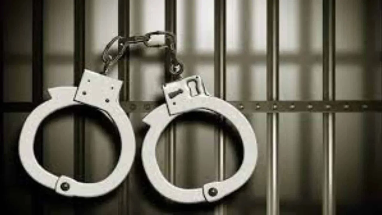 YouTuber Vaishnavi’s brother arrested for her husband’s murder