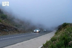 NCM forecasts heavy thunderstorms, flash floods as red fog alert hits Eastern Province 5 h ago