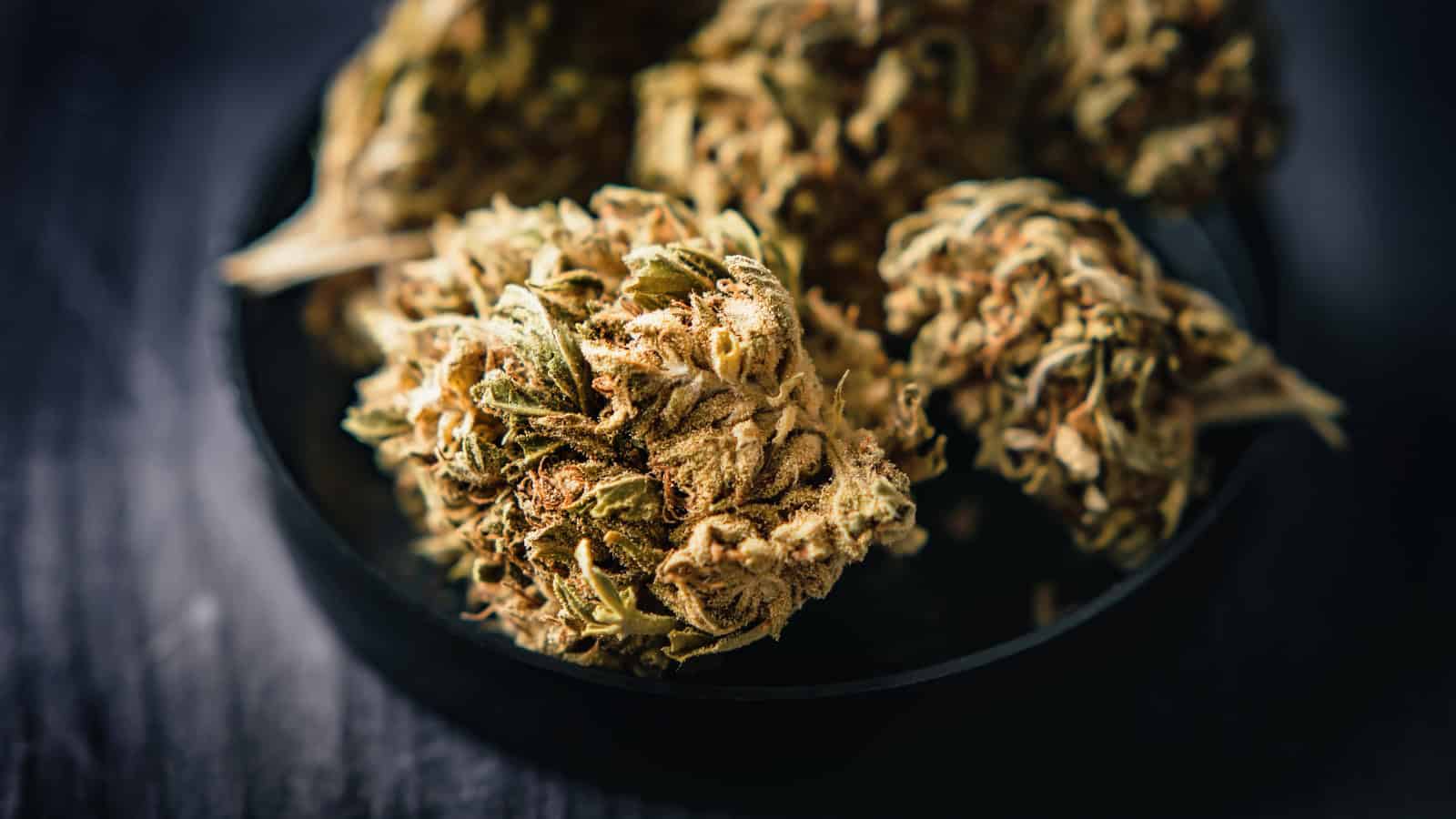 Dhoolpet ganja trade thrives despite repeated seizures this year