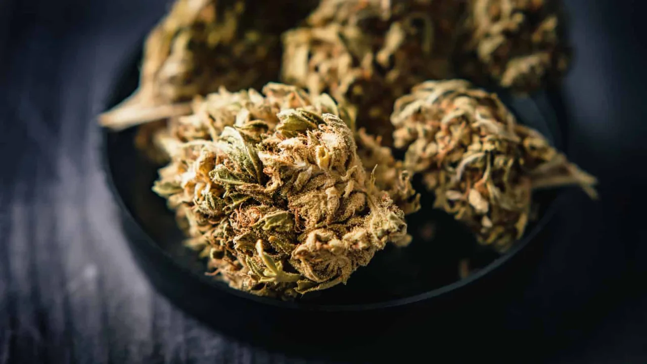 Dhoolpet ganja trade thrives despite repeated seizures this year