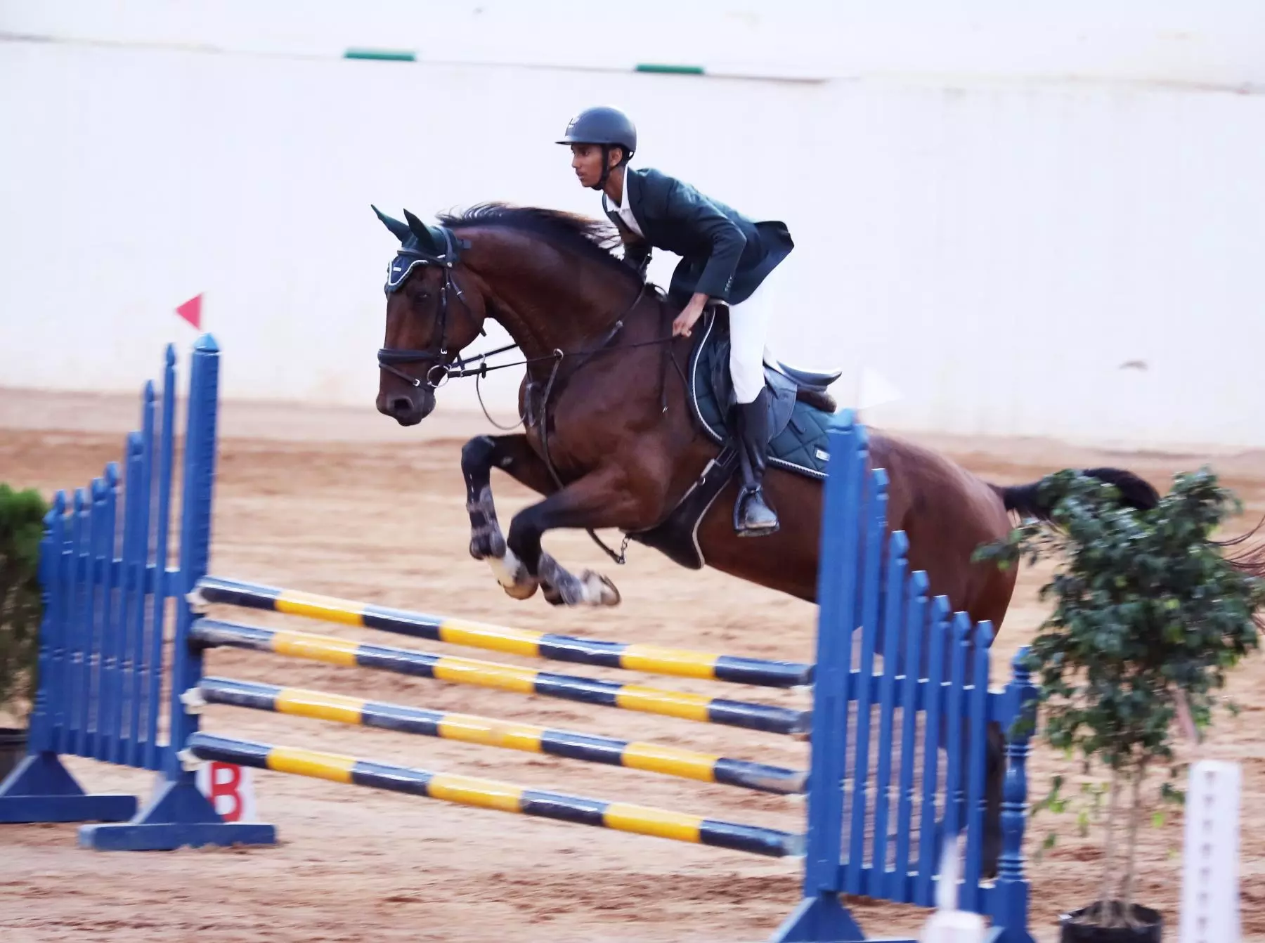 Siddharth, Gautam win dressage titles at Telangana Equestrian