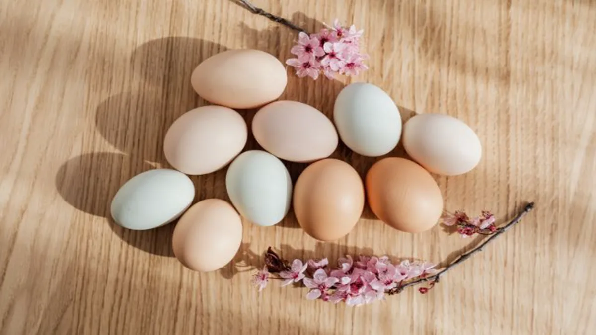 Egg Recall 2026: 19 Million Eggs Pulled Over Salmonella, Full List of Brands