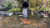 Water & Drainage