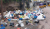 Pollution & Cleanliness