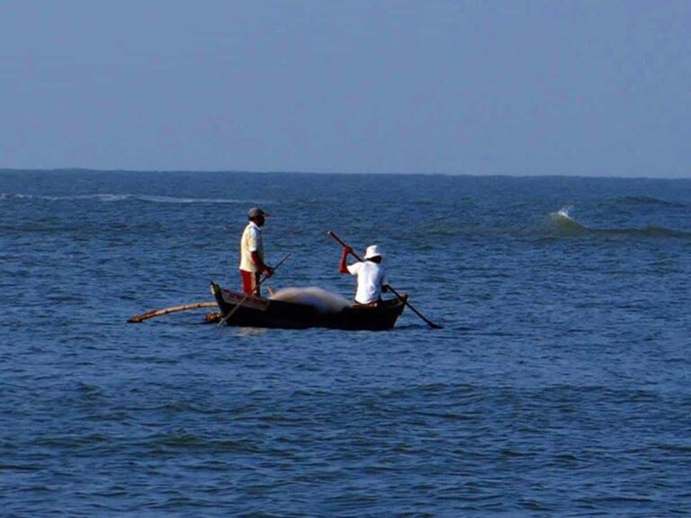 32 Indian fishermen detained by Sri Lanka Navy for alleged poaching