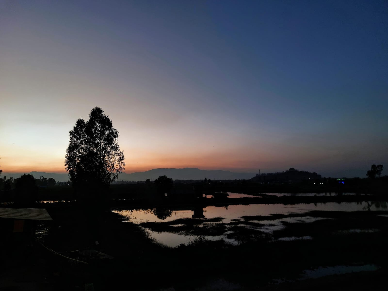 Wetlands on the outskirts of Kakching in Manipur
