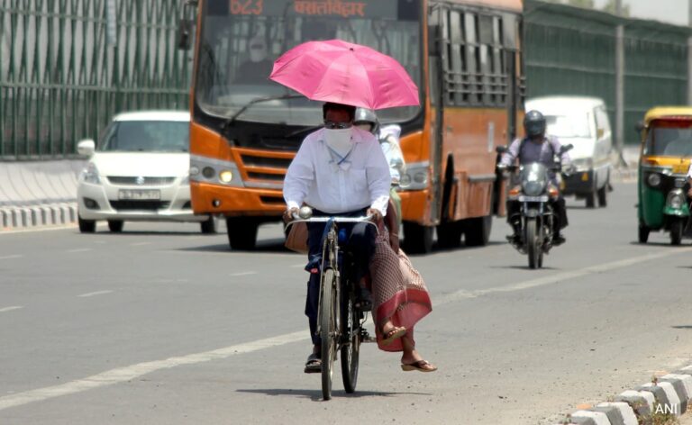 Delhi At 52.3, Iran Airport At 66 Degrees: How Earth Is Becoming "Inferno"