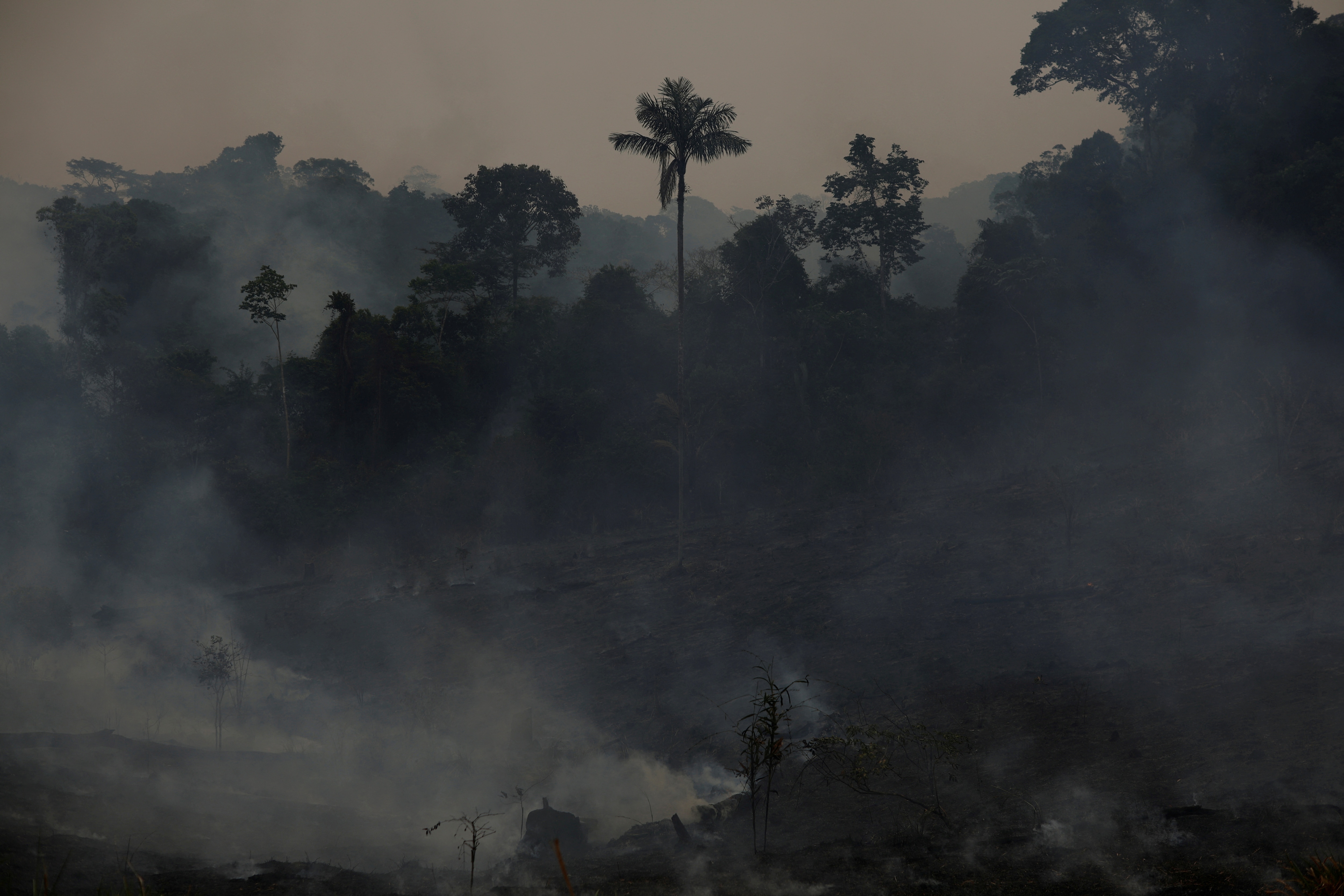 Smoke from a fire rises into the air in Amazon rainforest in the Apui, Amazonas state, Brazil. Smoke from a fire rises into the air in Amazon rainforest in the Apui, Amazonas state, Brazil.
