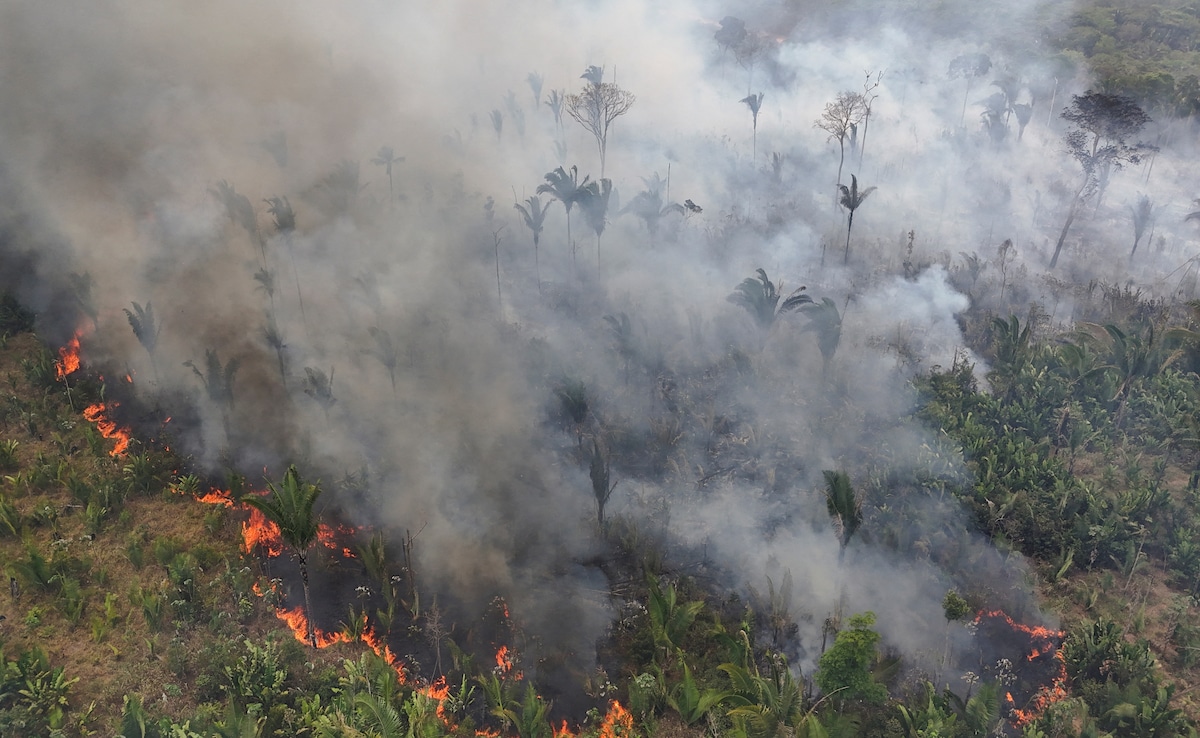 Drone view shows smoke rising from a forest fire in the Amazon in the Trans-Amazonian Highway BR230 in Brazil. Drone view shows smoke rising from a forest fire in the Amazon in the Trans-Amazonian Highway BR230 in Brazil.