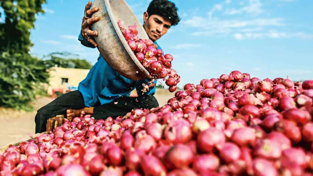 Onion farmers seek Rs10,000 crore aid, stable export policy