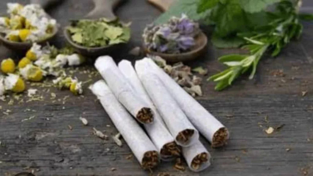 IIT Gandhinagar–University of Illinois study finds “Herbal” does not mean harmless cigarettes