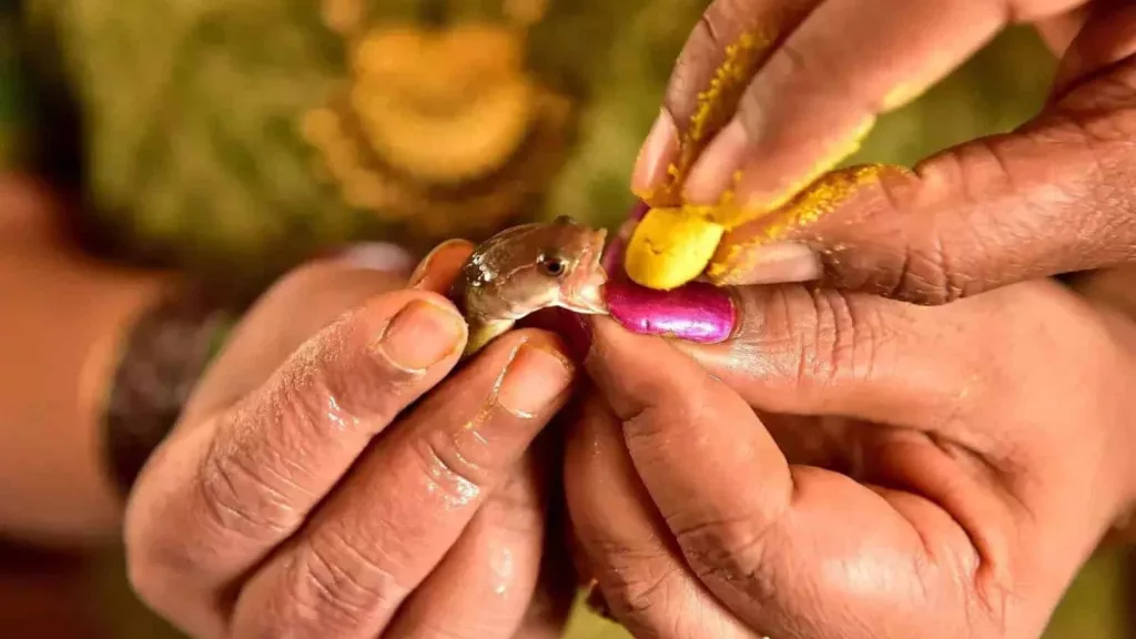 124 special buses organised for fish prasadam event in Hyderabad