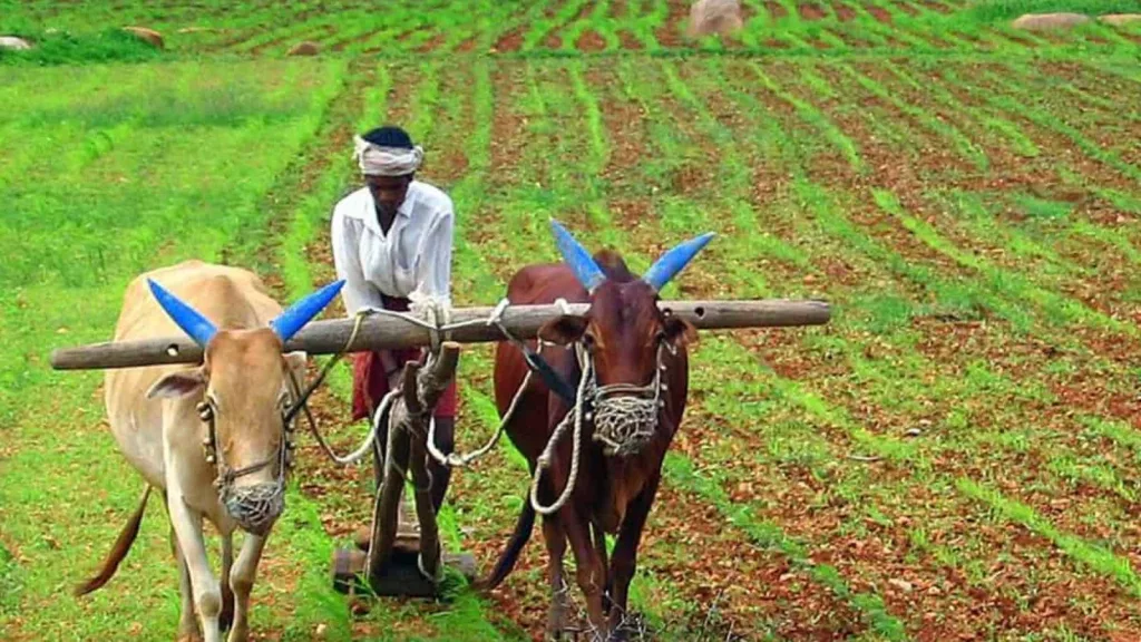 Deliver tenant farmers’ rights, Telangana activists warn Congress