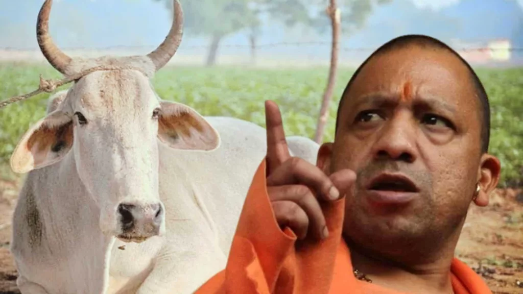 ‘Cow cannot be declared a national animal because…’: CM Yogi
