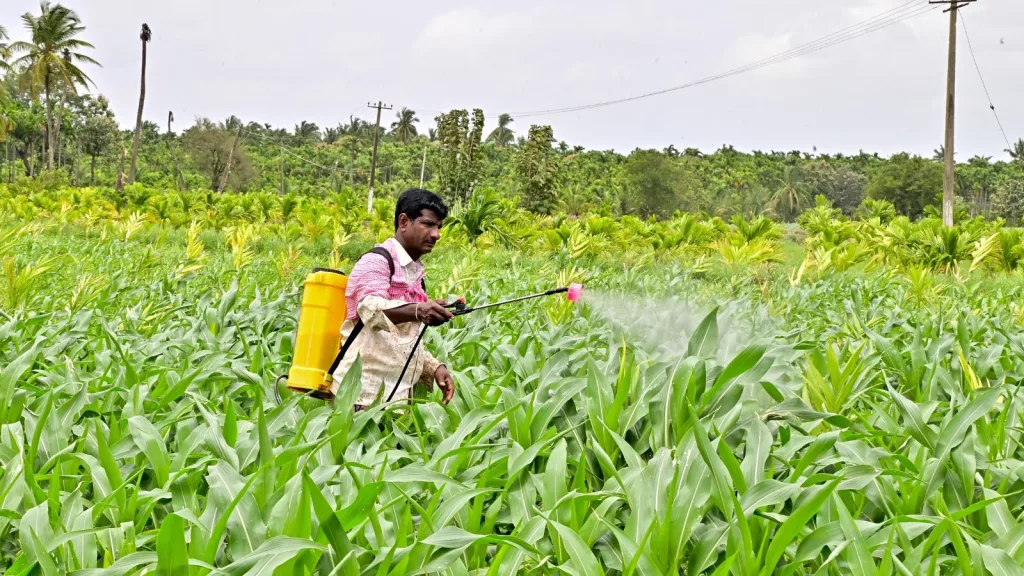 Amid shortage, Karnataka farmers claim sale of fake fertiliser