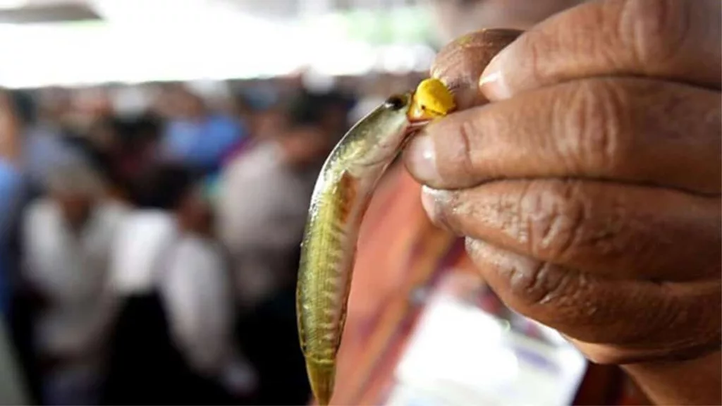 Hyderabad Traffic Police issues directions for Fish Prasadam event